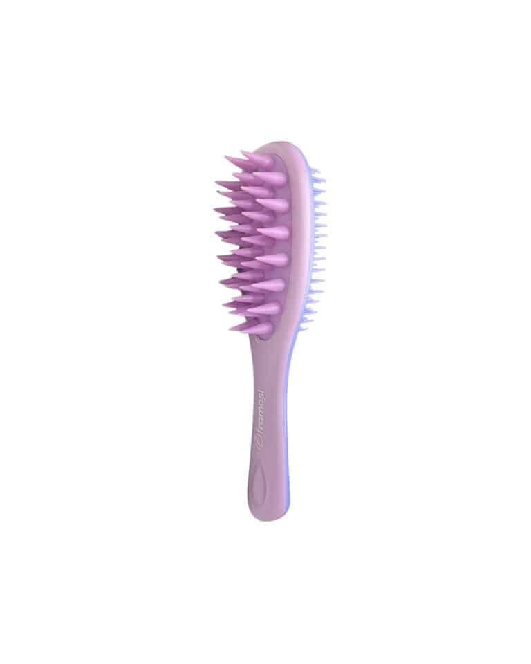 Framesi Morphosis Massaging Brush