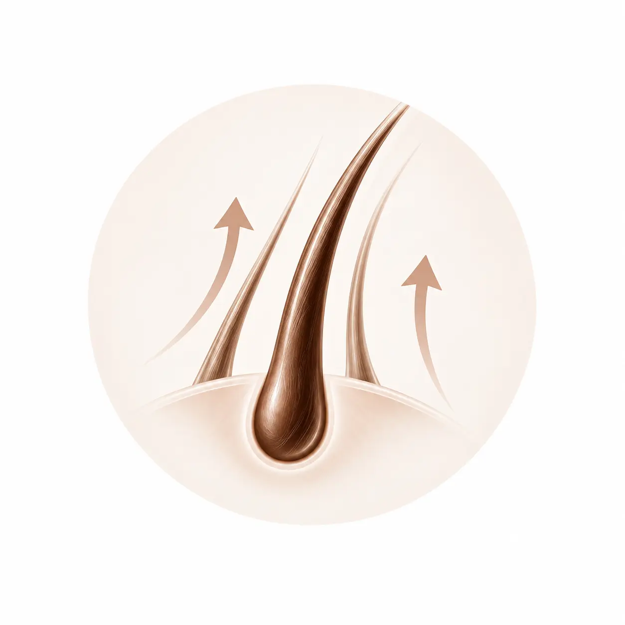 caduta capelli