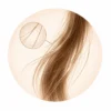 capelli sottili